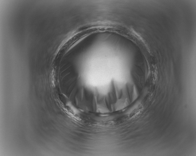 X0000051271352200507082232