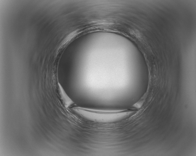 X0000051271354200507082232