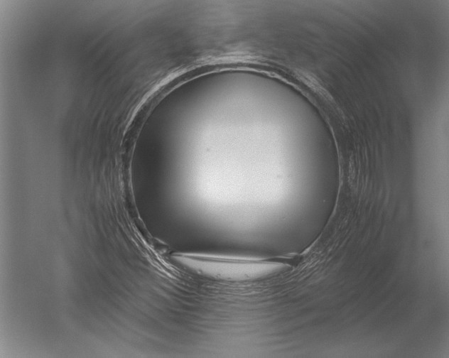 X0000051271356200507082232