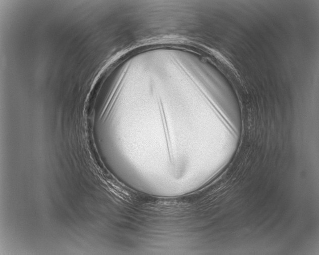 X0000051271364200507082232