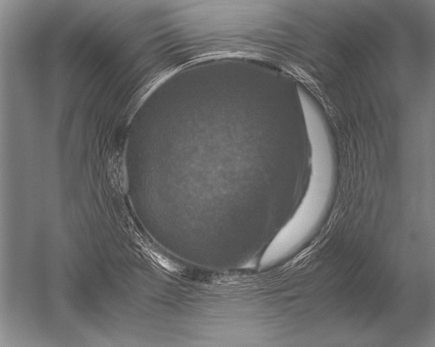 X0000051271369200507082232