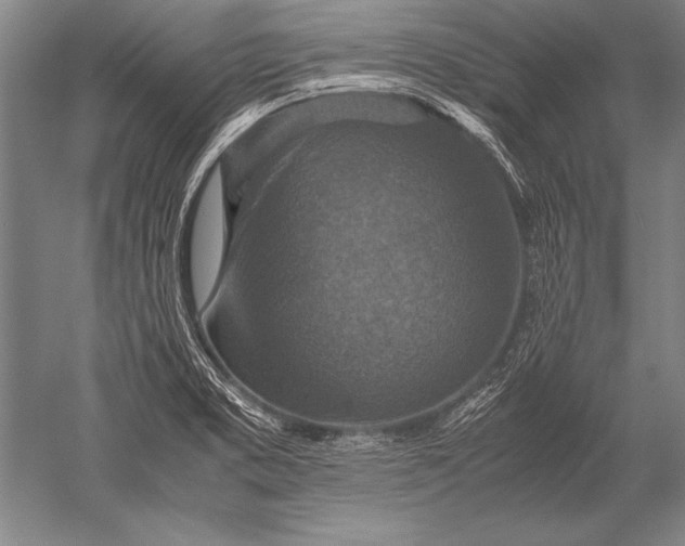 X0000051271373200507082232