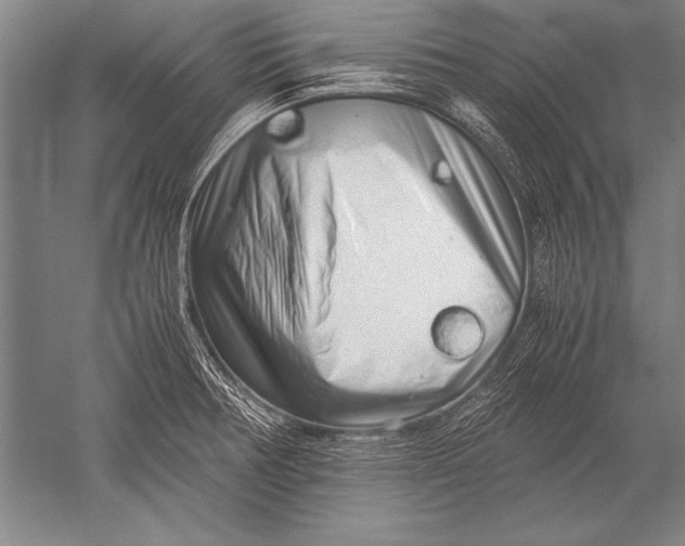 X0000051271378200507082232