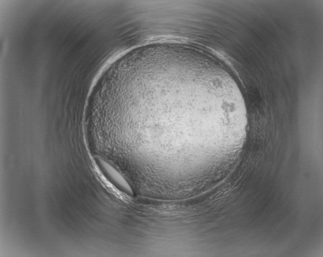 X0000051271379200507082232