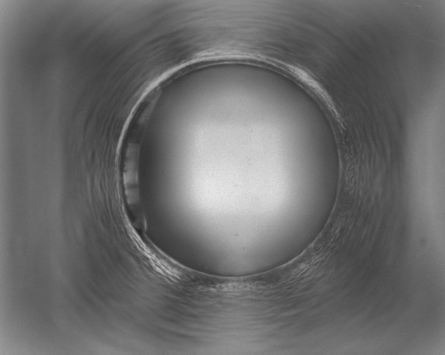 X0000051271380200507082232