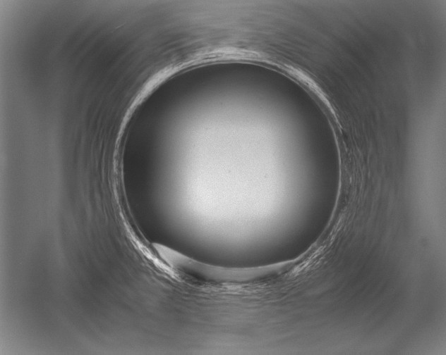 X0000051271381200507082232