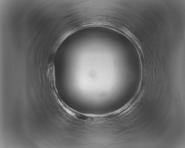 X0000051271385200507082232