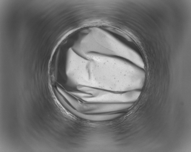 X0000051271392200507082231