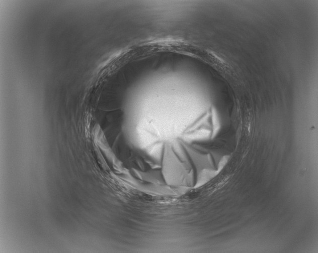 X0000051271398200507082231