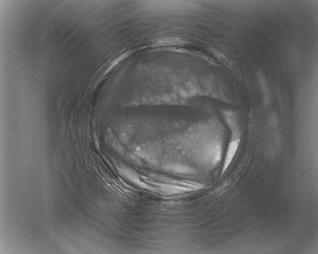 X0000051271401200507082231