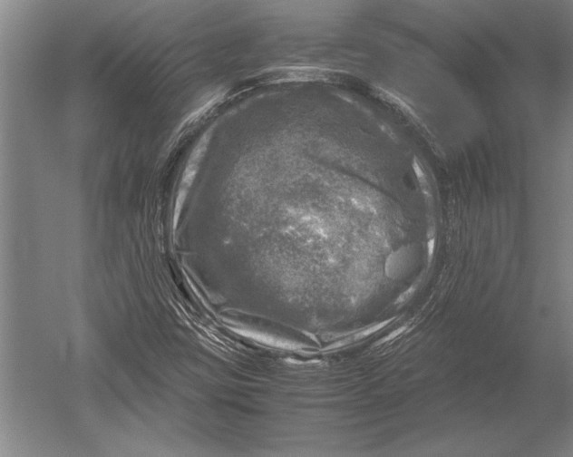 X0000051271403200507082231