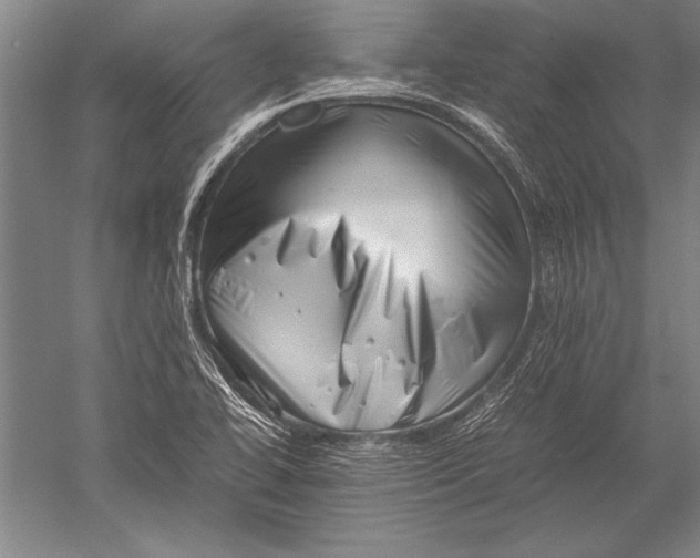X0000051271414200507082231