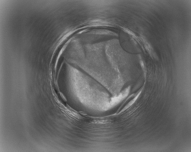 X0000051271415200507082231