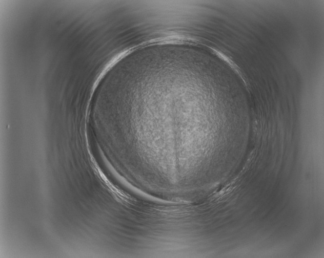 X0000051271418200507082231