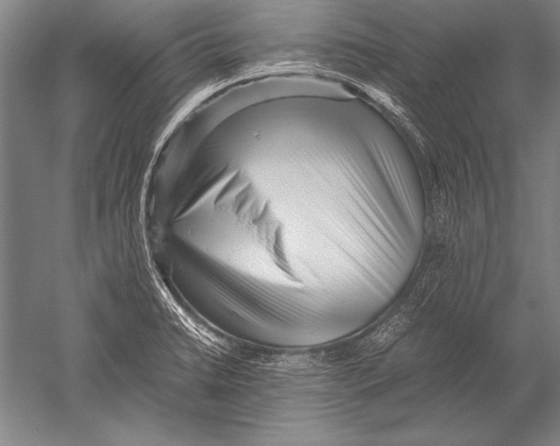 X0000051271422200507082231