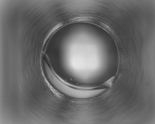 X0000051271426200507082231