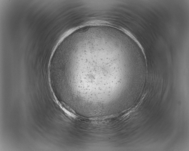 X0000051271437200507082231
