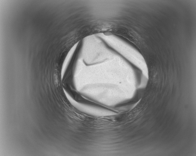 X0000051271442200507082231