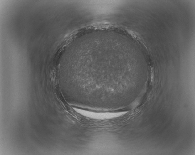X0000051271445200507082231