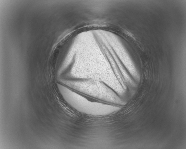 X0000051271448200507082231