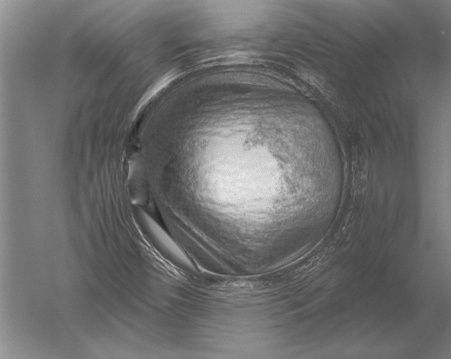 X0000051271450200507082230