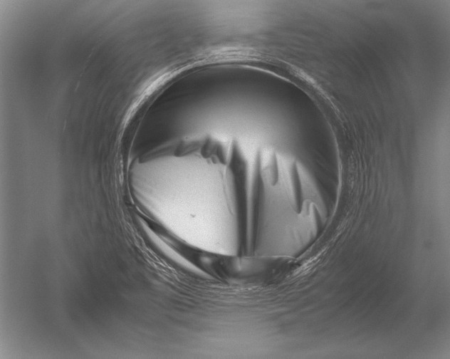 X0000051271461200507082230