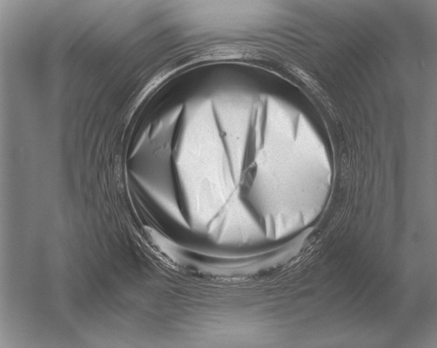 X0000051271465200507082230