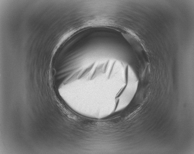 X0000051271469200507082230