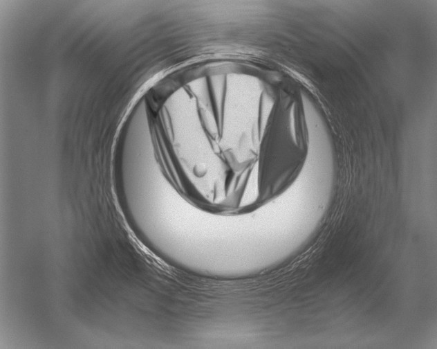 X0000051271471200507082230