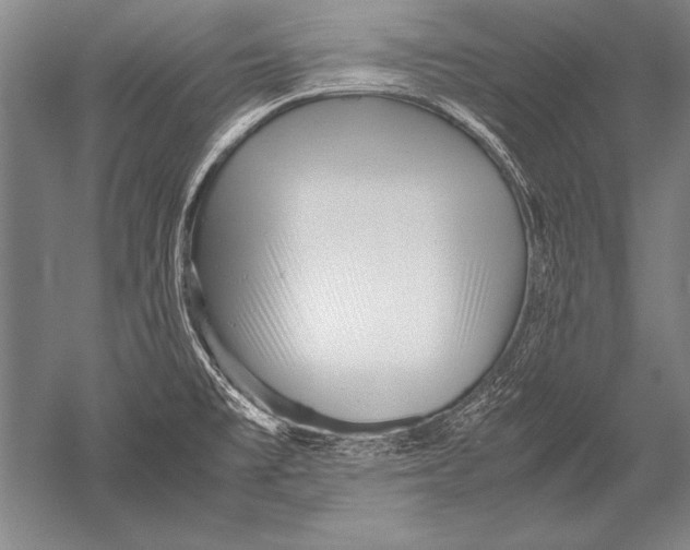 X0000051271477200507082230