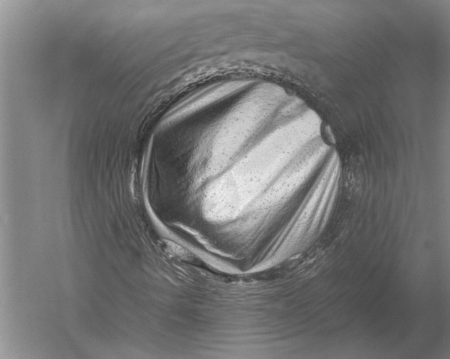 X0000051271490200507082229