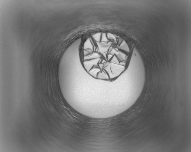 X0000051271492200507082229