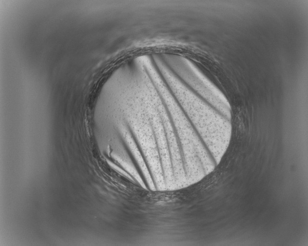 X0000051271493200507082229