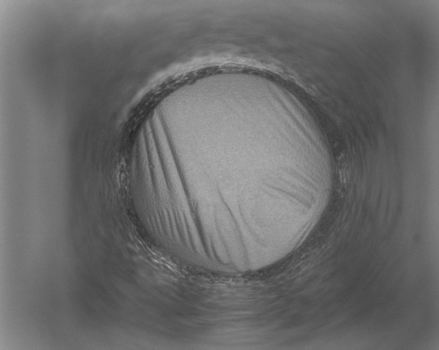 X0000051271495200507082229