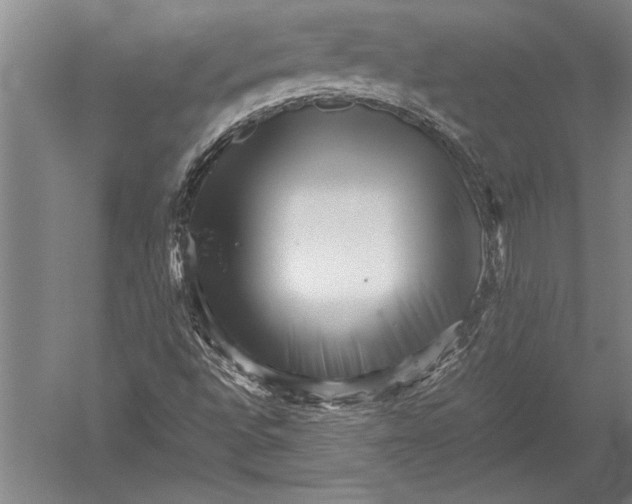 X0000051271496200507082229