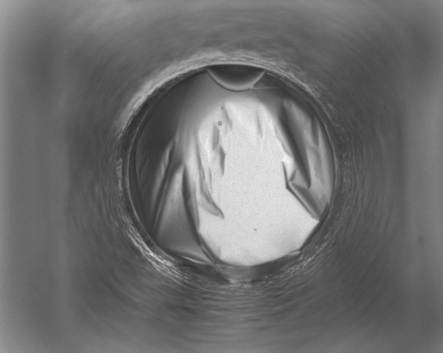 X0000051271503200507082229