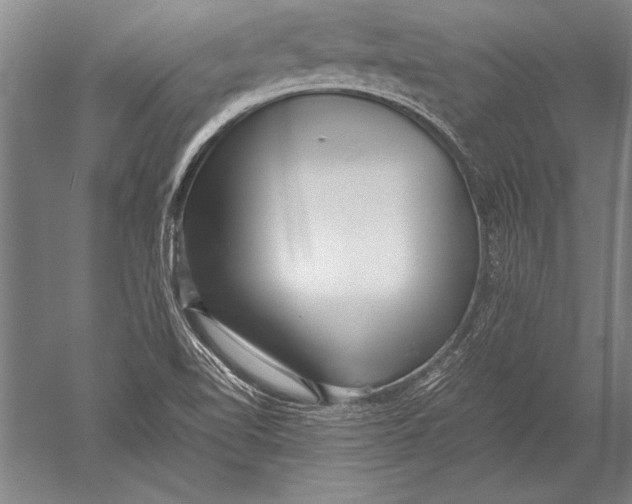 X0000051271510200507082229