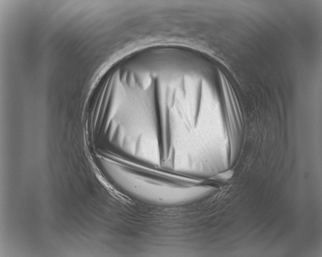 X0000051271511200507082229