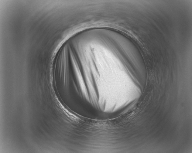 X0000051271512200507082229