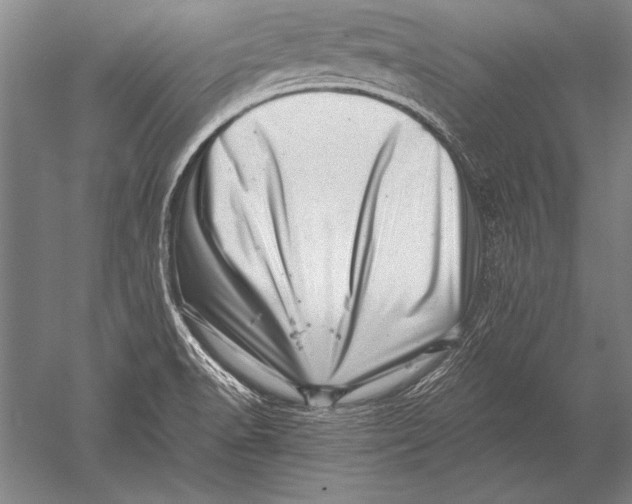 X0000051271518200507082230