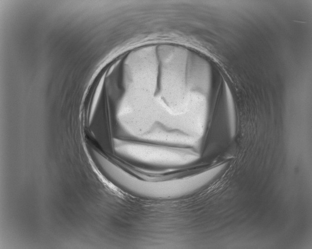 X0000051271519200507082230