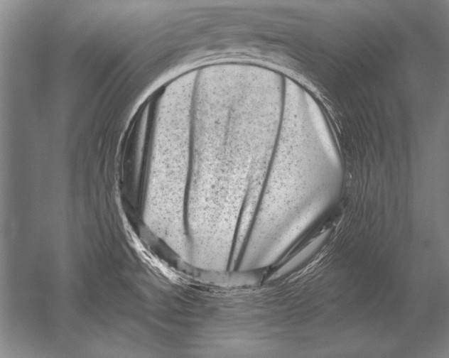 X0000051271534200507082230