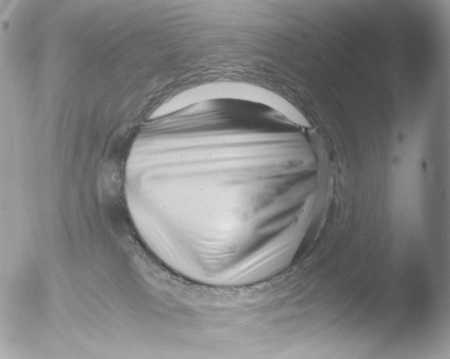 X0000051270037200507152253