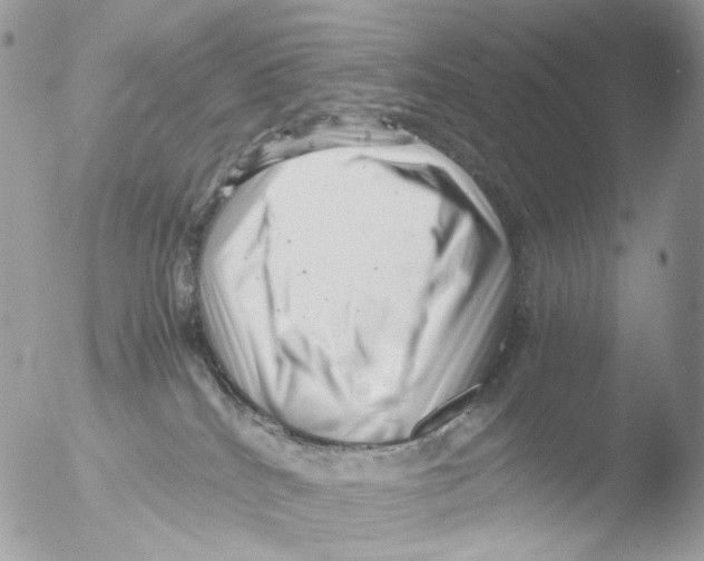 X0000051270040200507152253