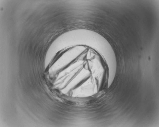 X0000051270088200507152253