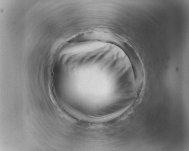 X0000051270097200507152252