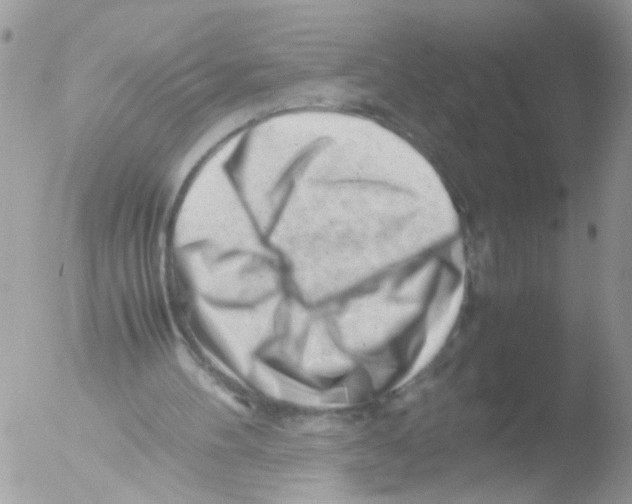 X0000051270100200507152252