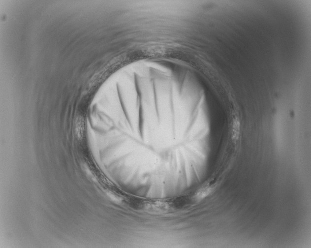 X0000051270125200507152252