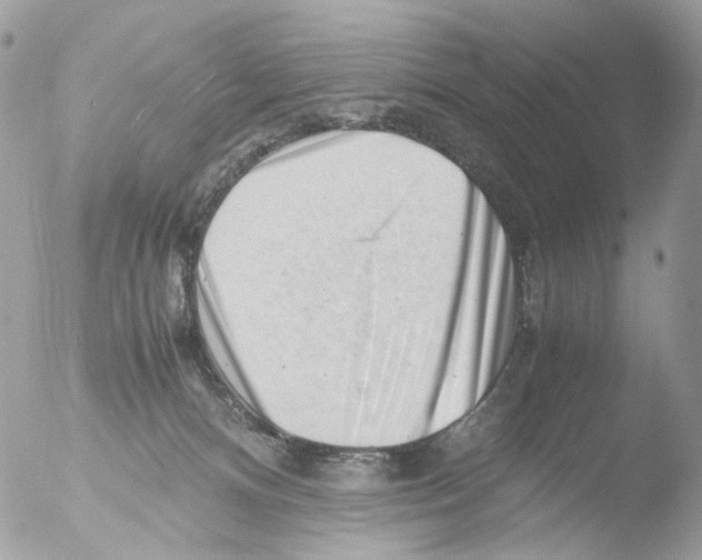 X0000051270128200507152252