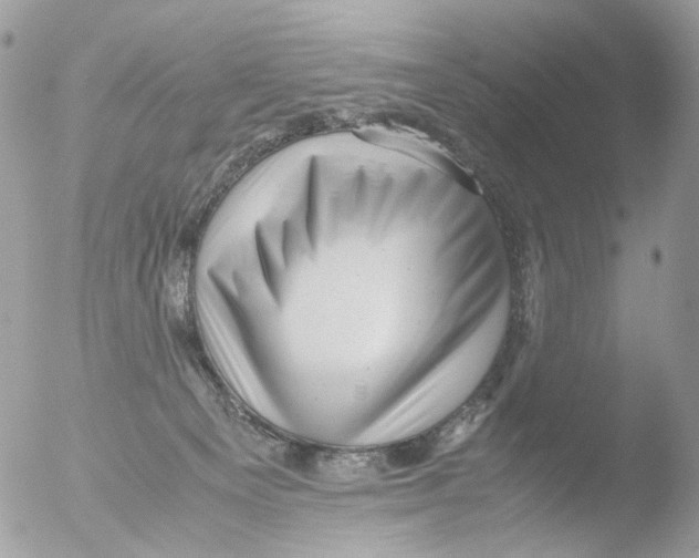 X0000051270129200507152252